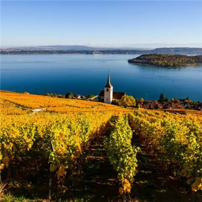 澳门·新甫京娱乐娱城手机app下载